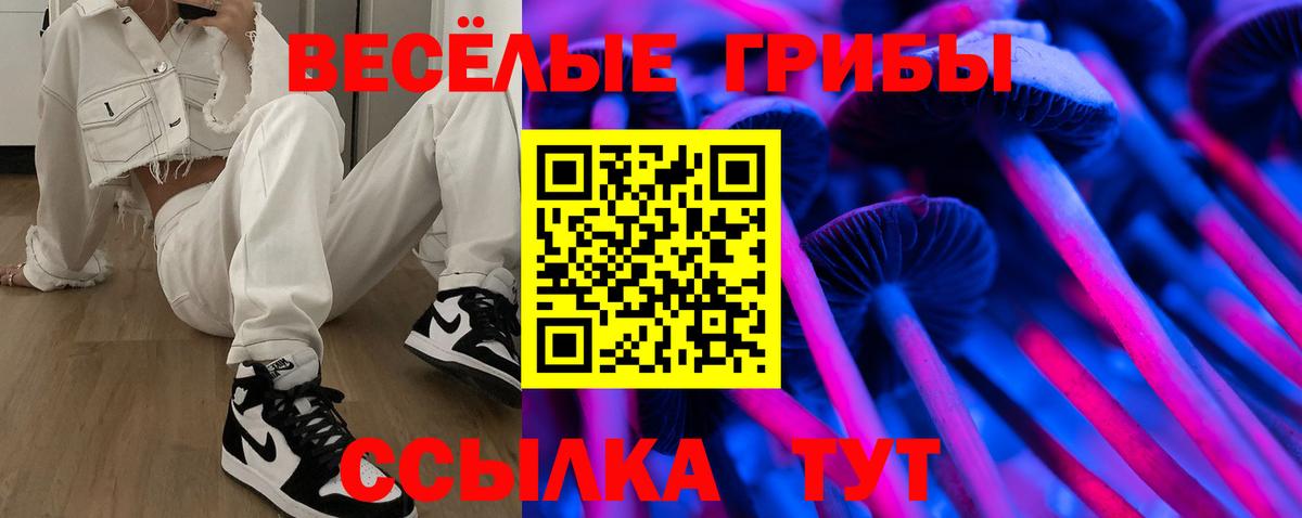 Кумертау  Псилоцибиновые грибы MAGIC MUSHROOMS  купить закладку  Галлюциногенные грибы ЛСД  Вход с VPN 